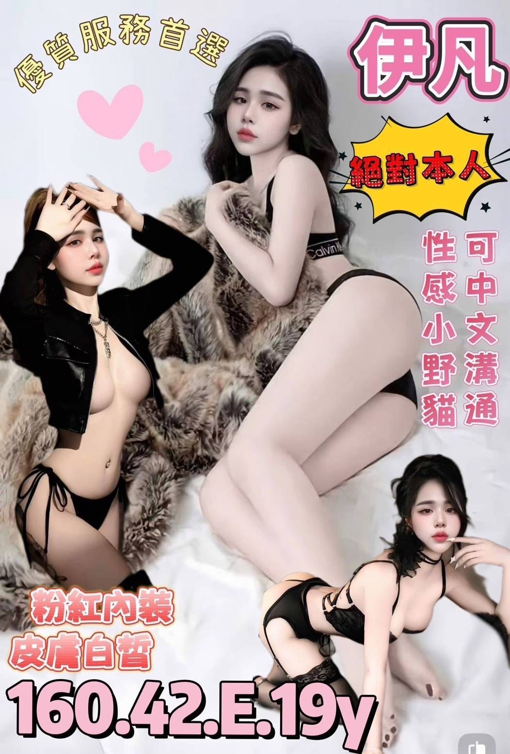 台南定點 北區 南區
